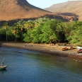 The Bolaxa