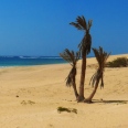 The Fascinating Boa Vista