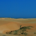 The Fascinating Boa Vista