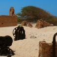 The Fascinating Boa Vista