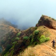 The Adrenaline (MTB)