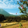 The best of Cape Verde 
